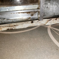 фото из отзыва ID 2731170