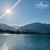 фото из отзыва ID 2731179