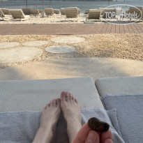 фото из отзыва ID 2731227