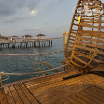 фото из отзыва ID 2731234