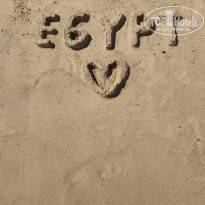 фото из отзыва ID 2731239