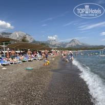 фото из отзыва ID 2730231