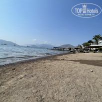 фото из отзыва ID 2731269