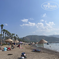 фото из отзыва ID 2731269