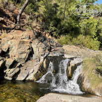 фото из отзыва ID 2731269