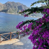 фото из отзыва ID 2731269