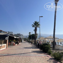 фото из отзыва ID 2731269