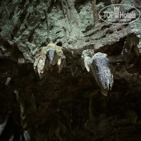 фото из отзыва ID 2731269