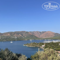 фото из отзыва ID 2731269