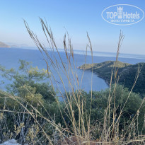 фото из отзыва ID 2731269