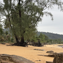 фото из отзыва ID 2731214