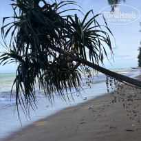 фото из отзыва ID 2731214