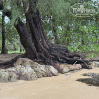 фото из отзыва ID 2731214