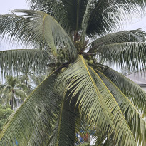 фото из отзыва ID 2731214