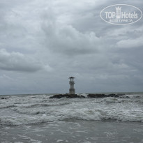 фото из отзыва ID 2731214