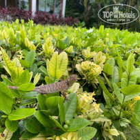 фото из отзыва ID 2731214