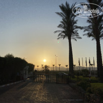 фото из отзыва ID 2731286