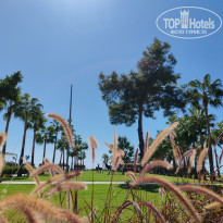 фото из отзыва ID 2731288