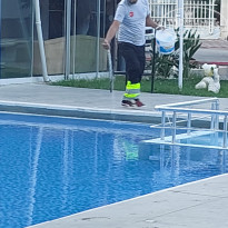 фото из отзыва ID 2731289