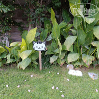 фото из отзыва ID 2731298