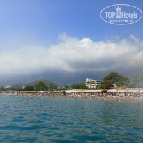 фото из отзыва ID 2731298