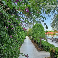 фото из отзыва ID 2731298