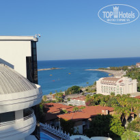 фото из отзыва ID 2731299