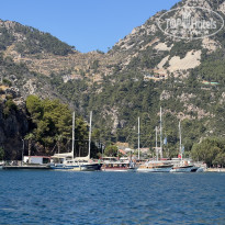 фото из отзыва ID 2731306