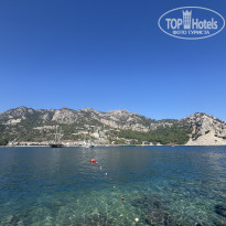 фото из отзыва ID 2731306