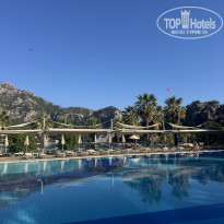 фото из отзыва ID 2731306