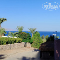 фото из отзыва ID 2731303