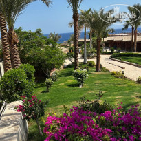 фото из отзыва ID 2731303