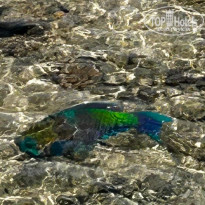 фото из отзыва ID 2731303