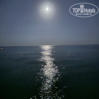 фото из отзыва ID 2731332