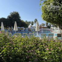 фото из отзыва ID 2731332