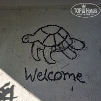 фото из отзыва ID 2731330