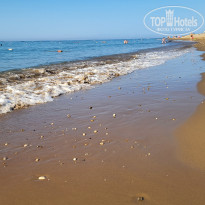 фото из отзыва ID 2731348