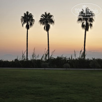 фото из отзыва ID 2731348