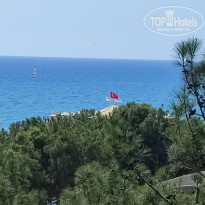 фото из отзыва ID 2731347