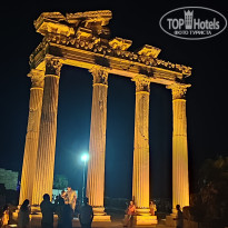 фото из отзыва ID 2731347