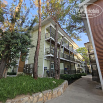 фото из отзыва ID 2731358