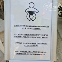 фото из отзыва ID 2731358