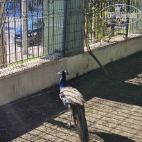 фото из отзыва ID 2731358