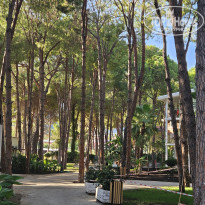 фото из отзыва ID 2731358