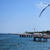 фото из отзыва ID 2731358