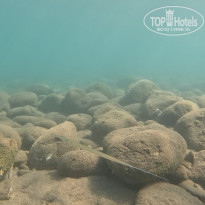 фото из отзыва ID 2731358