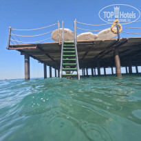 фото из отзыва ID 2731358