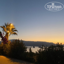 фото из отзыва ID 2731379