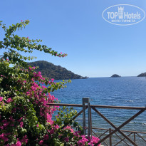 фото из отзыва ID 2731379