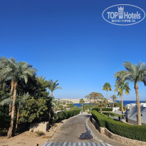 фото из отзыва ID 2731383